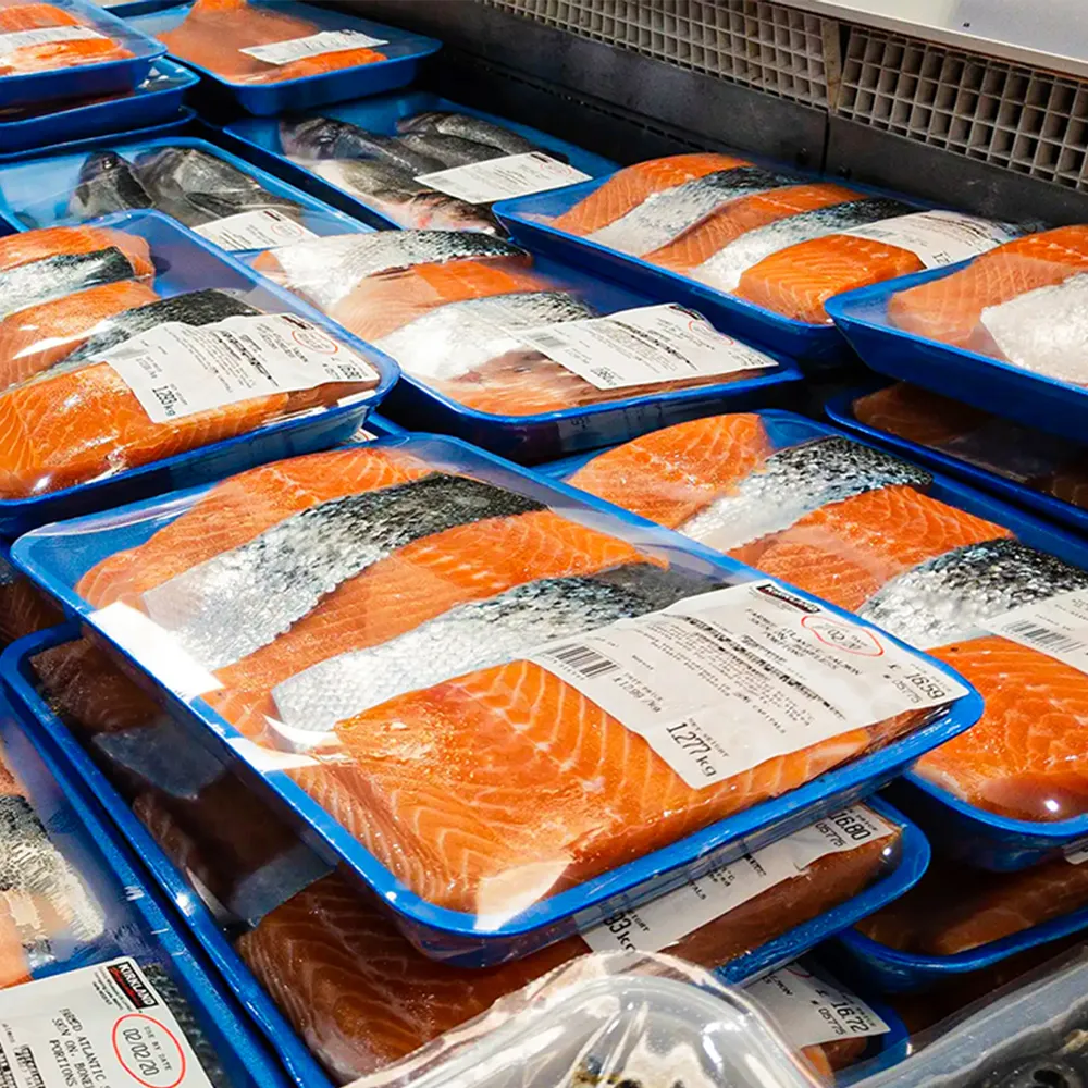 Cold Chain Label Supplier for Freezer Use | YG Group