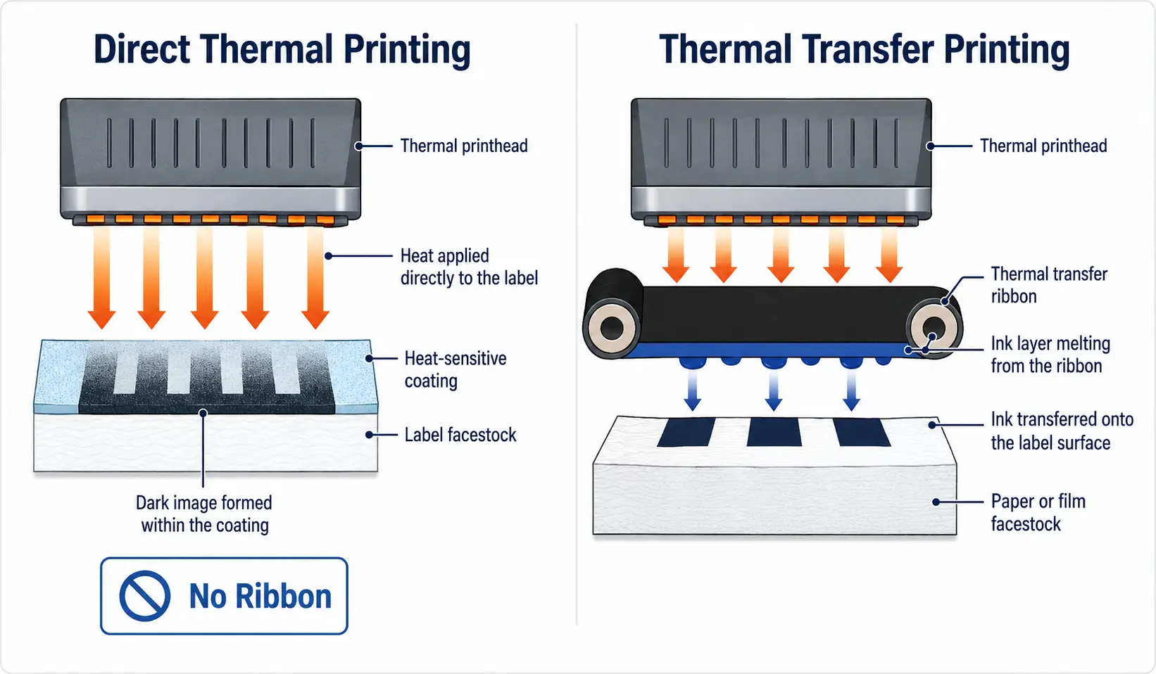direct thermal vs thermal transfer printing comparison diagram
