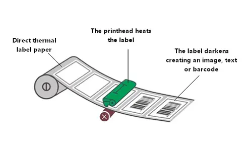 Direct thermal printing