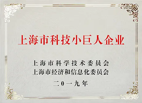 上海市科技小巨人企业.webp