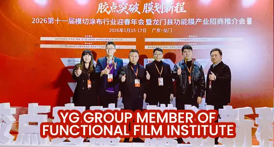 YG-Group-Member-of-Functional-Film-Institute.webp